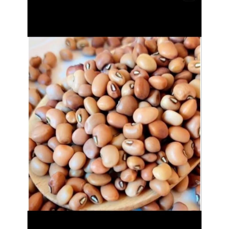 

Bibit kacang tanah unggul berkualitas tinggi kemasan 500gr/1kg