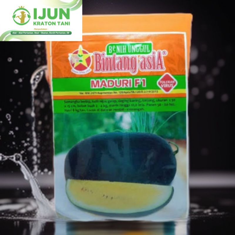 Benih Semangka Maduri F1