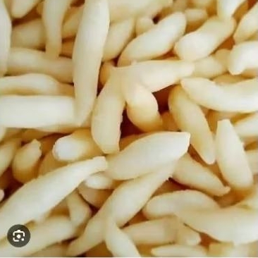

Bidaran Keju