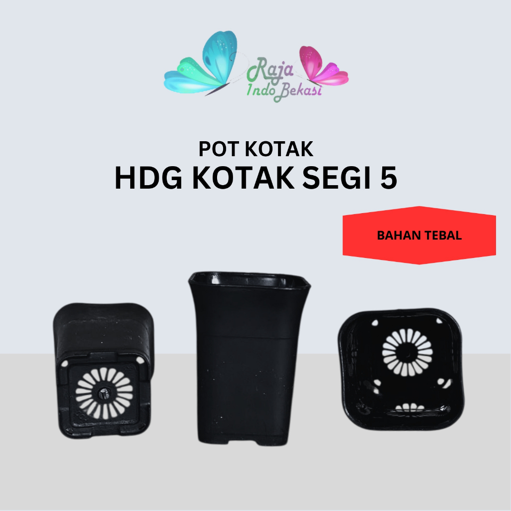 POT HDG KOTAK SEGI 5 CM HITAM pot bunga plastik kotak segi tinggi kecil mungil untuk kaktus sekulen 
