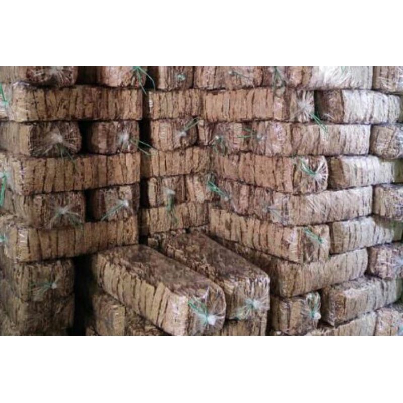 

PISANG SALE LIDAH 1 BAL LANGSUNG DARI PABRIK