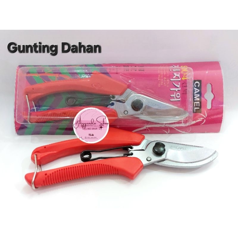 Camel Gunting Dahan
