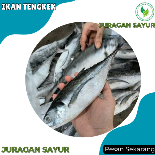

Ikan Tengkek 1 kg - Ikan Tengkek Fresh - Ikan Segar Tengkek - Juragan Sayur