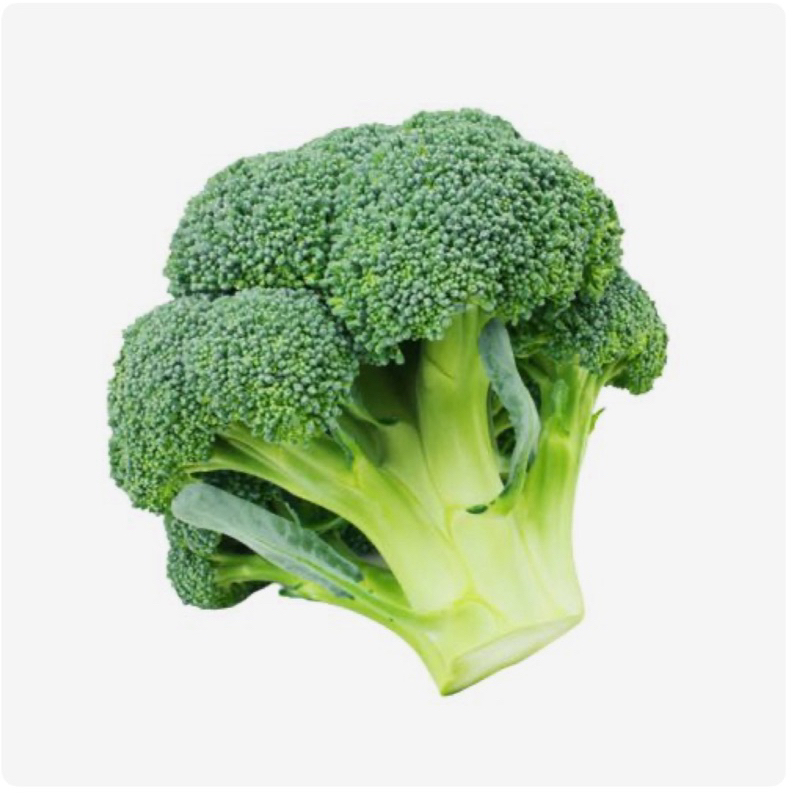 

BROKOLI sayur segar surabaya