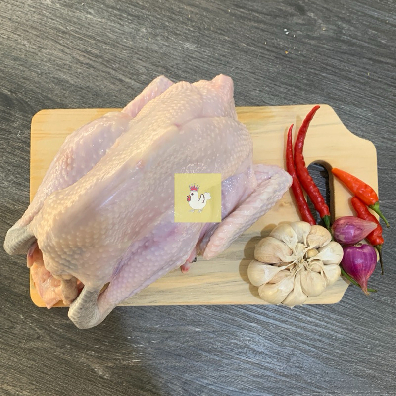 

Ayam Kampung Fresh