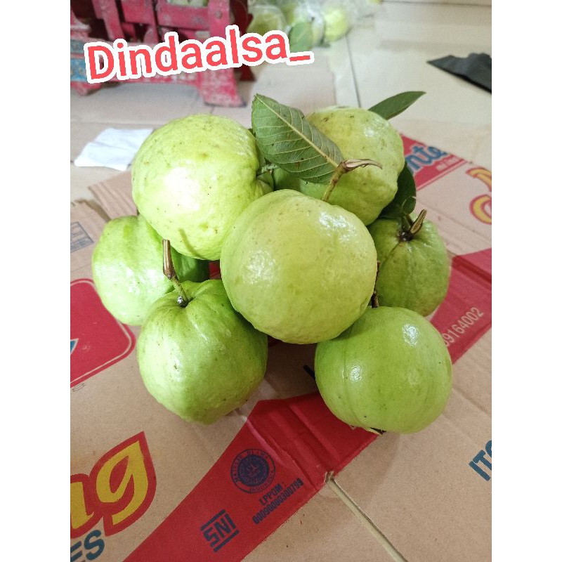 

jambu kristal fresh 2 kg