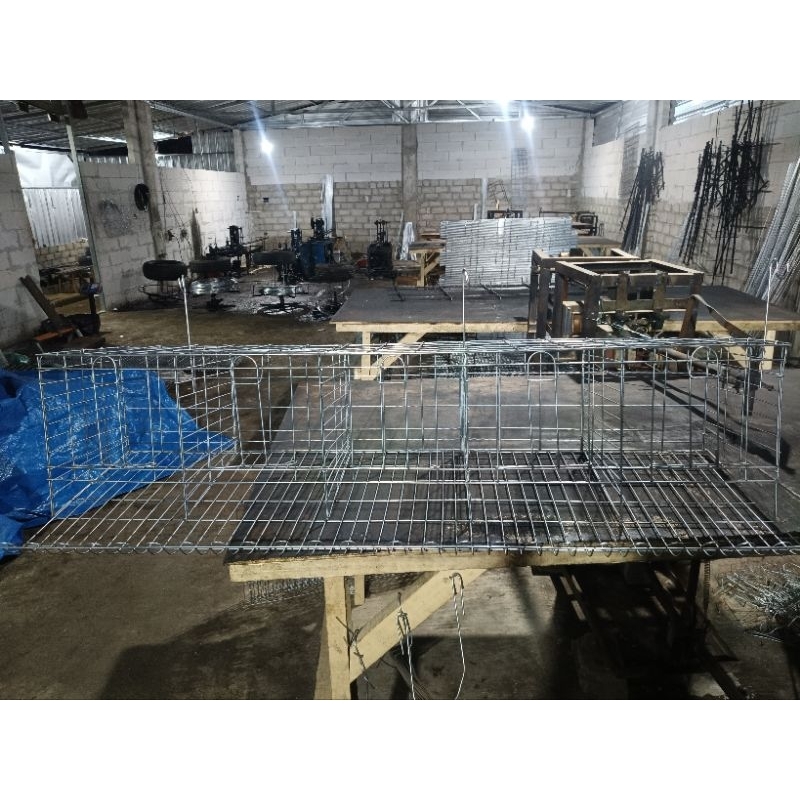 kandang ayam galvanis