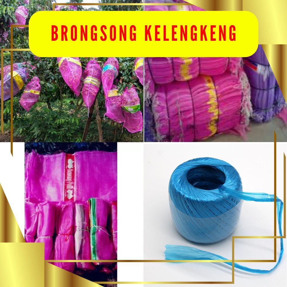 PALING MURAH  Brongsong Buah Kelengkeng, Brongsong Kelengkeng dengan Tali, Brongsong  Kelengkeng Bek