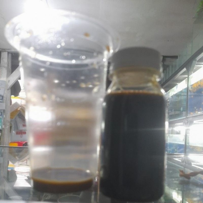 cairna ikan chana stewarti