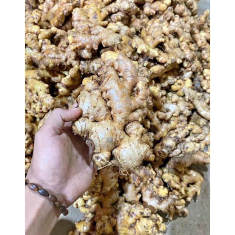 

INSTAN - JAHE 500GRAM BUMBU DAPUR FRESH