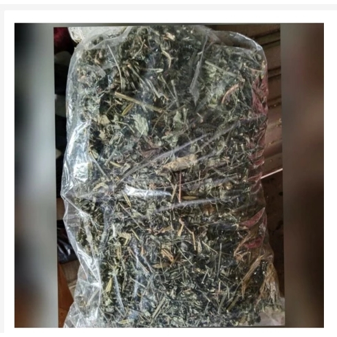 

daun sambiloto kering 1/2 kg