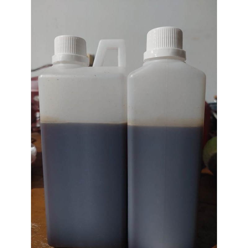 

Madu Apis Melifera Murni 100% 1kg / Madu Hutan Riau / Madu Akasia /