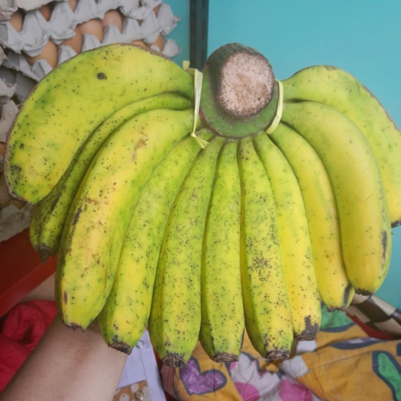 pisang ambon lumut dari lembang 1kg
