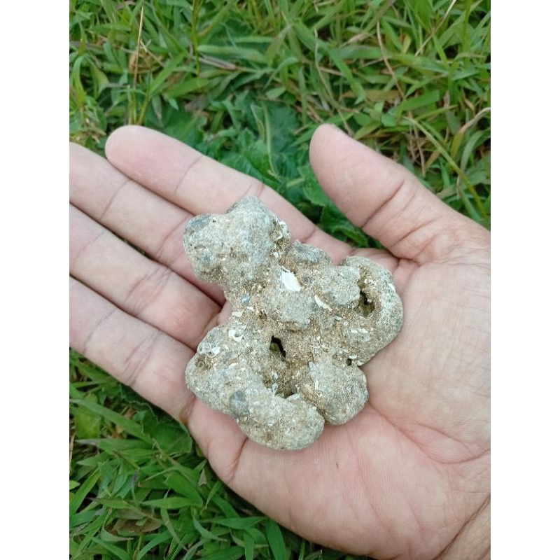 meteor jalasutra 63