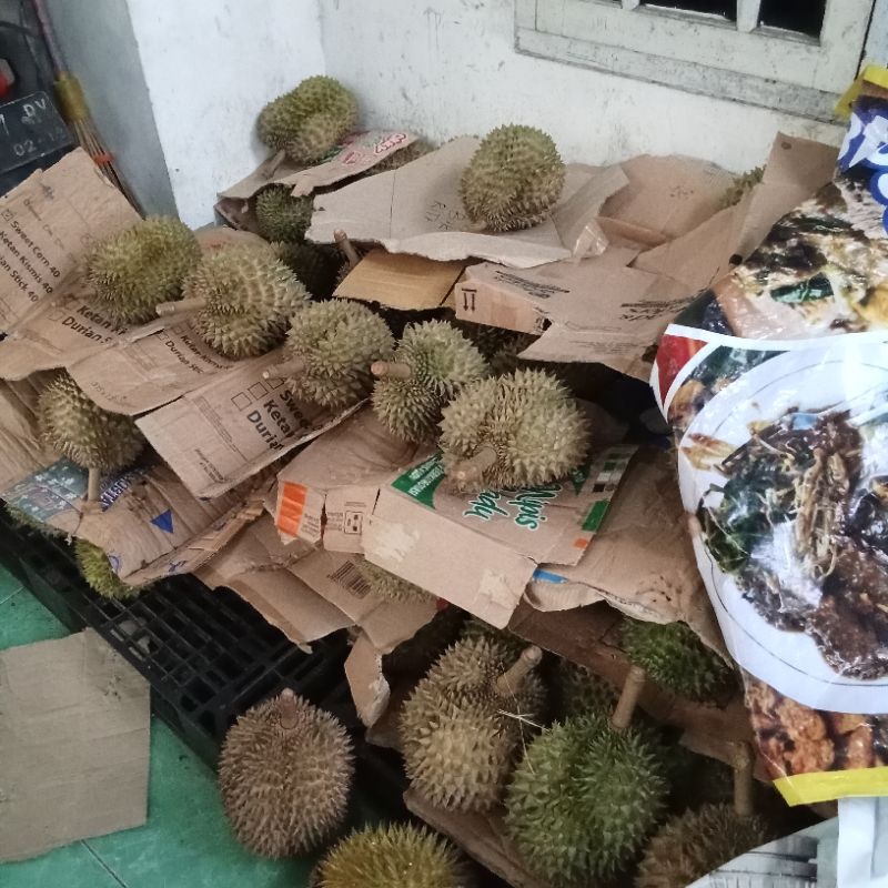 

Paket Usaha Durian Kupas (A)