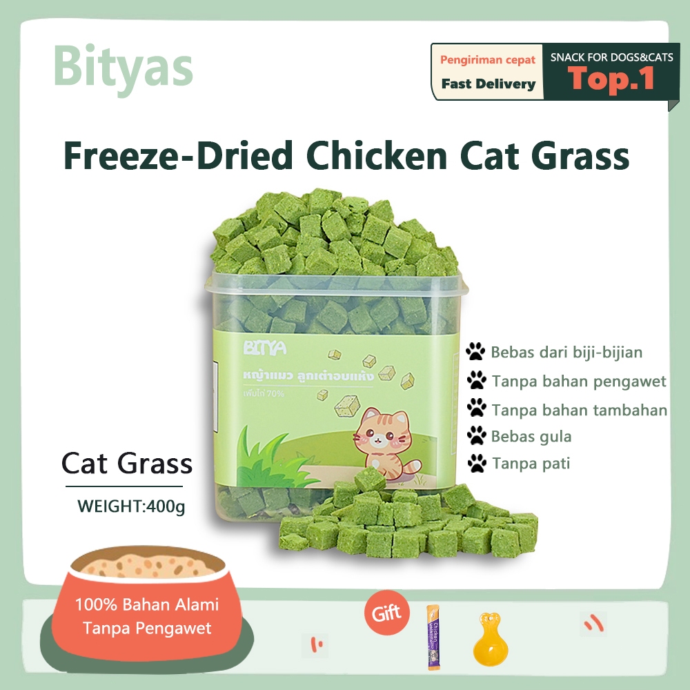 Bityas Cat Grass Dadu - Snack Kucing Campuran Catnip Ayam Minyak Ikan Vitamin Untuk Menjaga Kesehata
