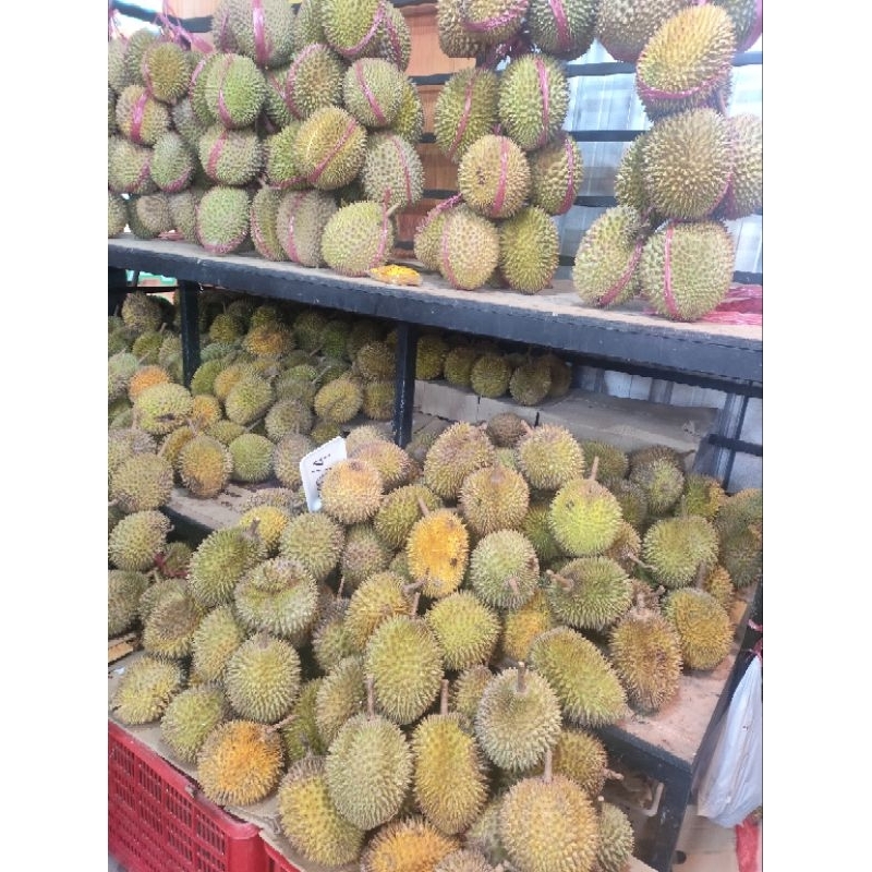 

makanan aqiqah aurora