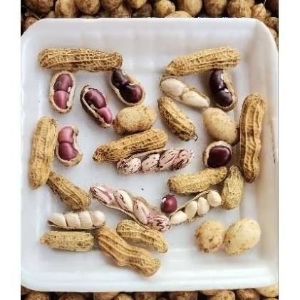 

KACANG TANAH SUPER DI MIX /CAMPUR 1 KG UNTUK REBUS BASAH