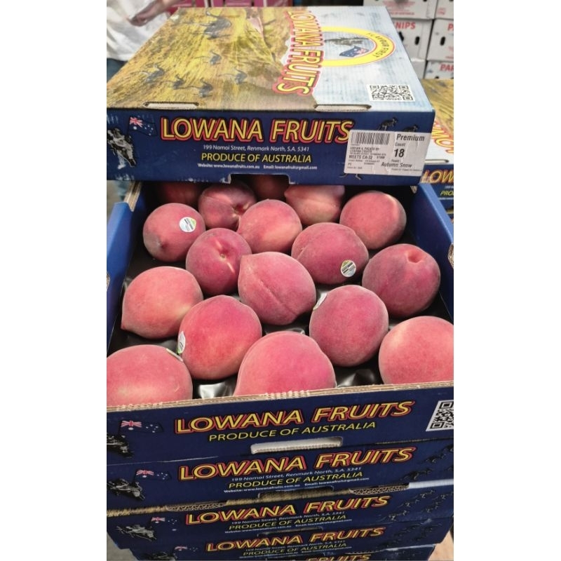 

Buah Peach White Australia Fresh 1 Kg