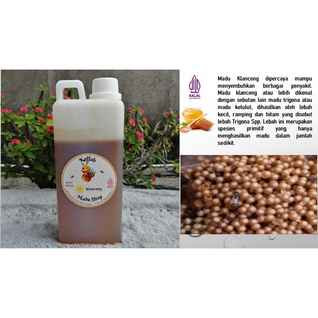 

Madu Asli Murni Klanceng/Kelanceng Murni 1Kg