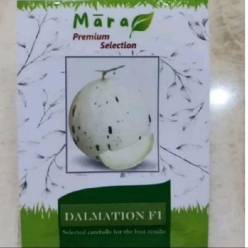 50 Biji Bibit Buah Melon Dalmation F1 Original