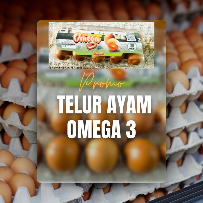 

Telur Ayam Omega