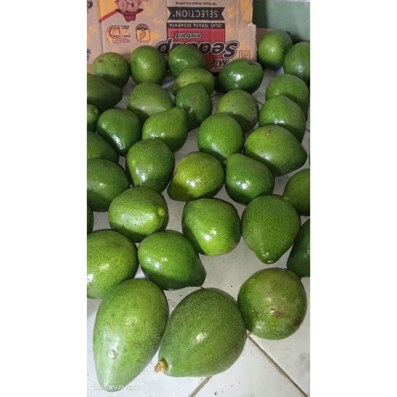

avocado mentega,aligator.markus.