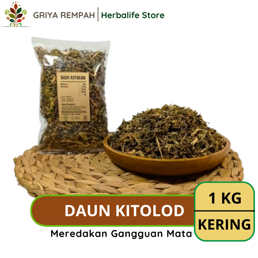 

DAUN KITOLOD KERING 1 KG Kitolot Rempah Herbal Simplisia Alami untuk Kesehatan & Ramuan Jamu Tradisional Tolod Ornithogalum