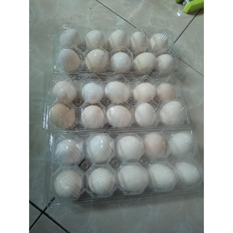 

telur ayam kampung