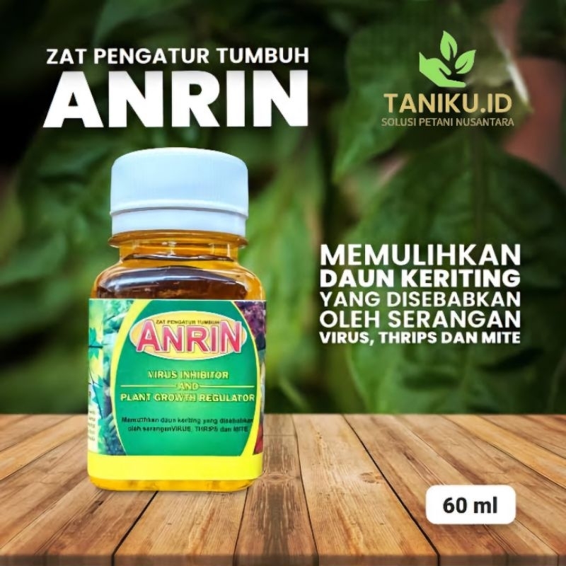 Pemulih keriting, virus inhibitor Anrin 60 ml