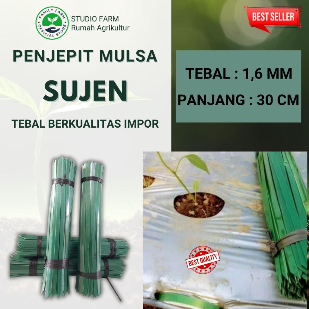GROSIR PENJEPIT MULSA / SUJEN / PAKU MULSA / TUSUK MULSA -  PANJANG 30CM ( TEBAL ) 100PCS