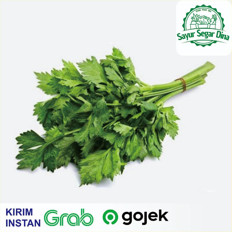 

Daun Seledri Hijau /Ikat