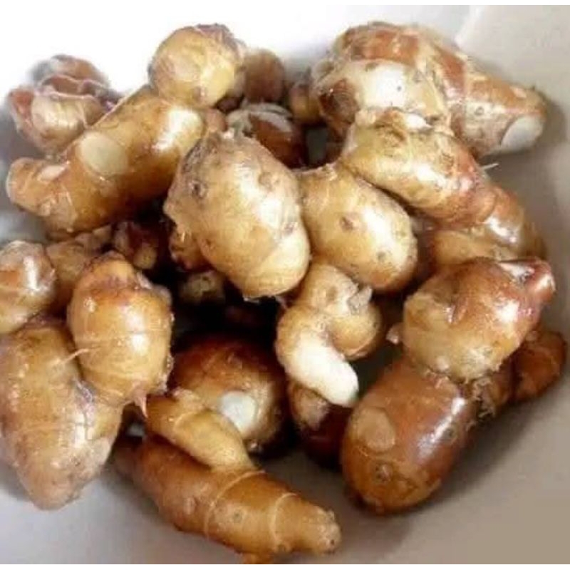 

kencur/cingur tua dan Fress kualitas terbaik untuk bumbu masakan dan obat herbal