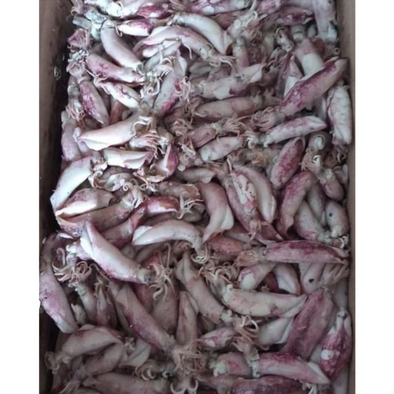 

1 kg cumi asin fresh