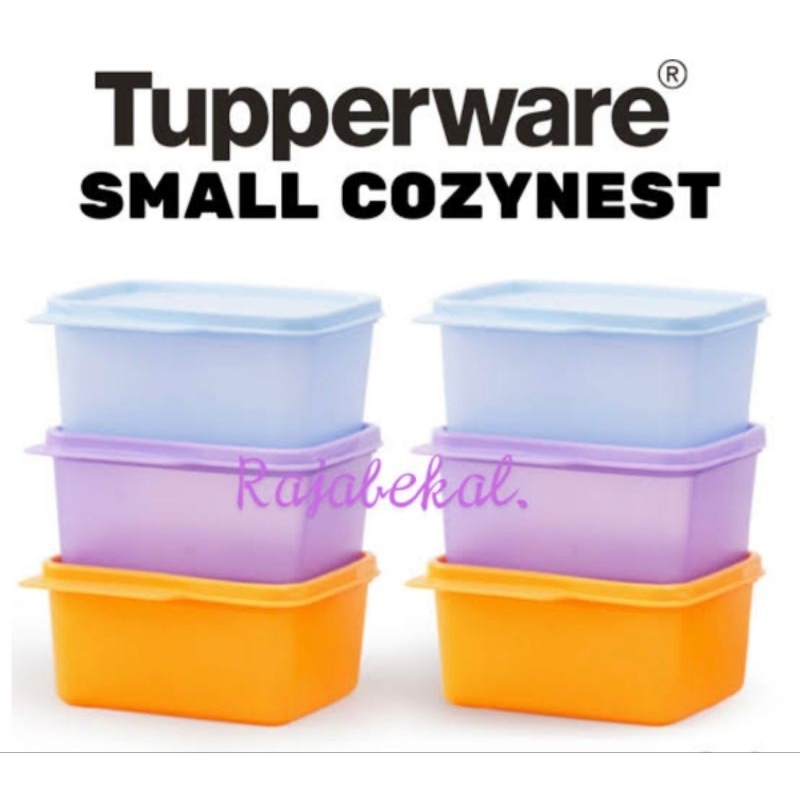 CozyNest small 6pcs tupperware 500ml