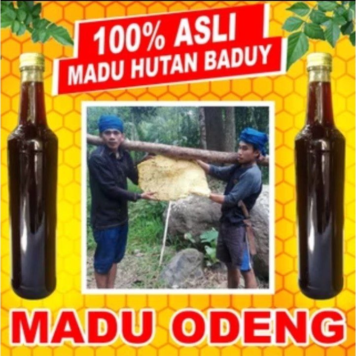 

Madu Odeng hutan Baduy asli 100% tanpa campuran, madu murni 1kg untuk menambah imunitas tubuh kita