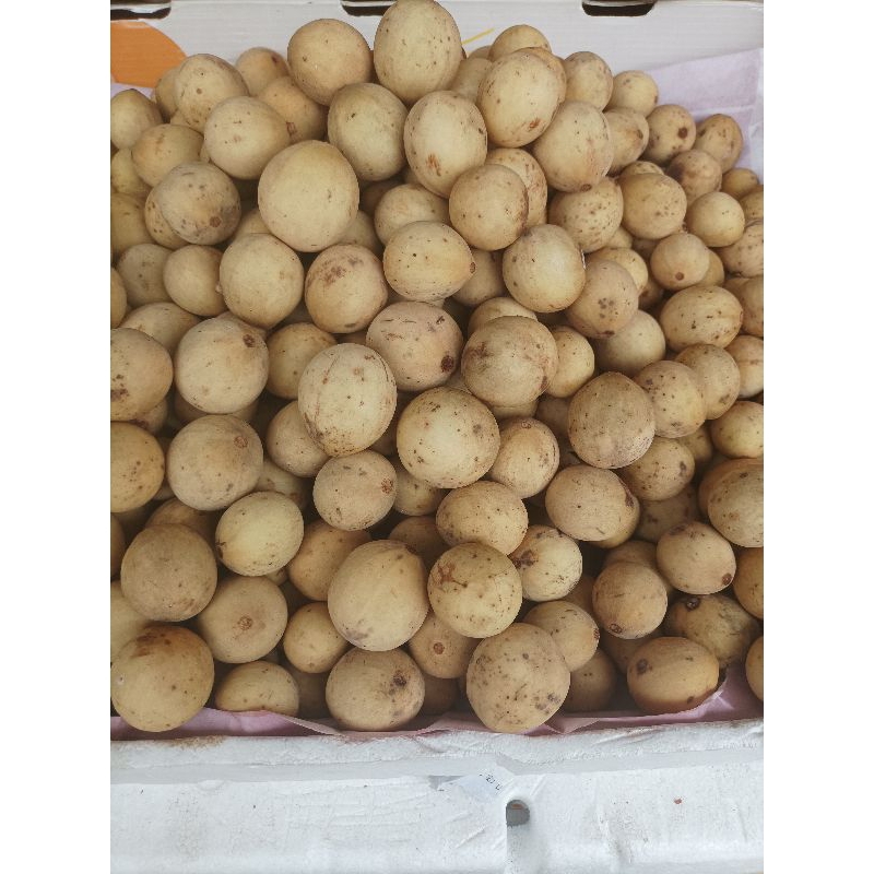 

dukuh palembang manis