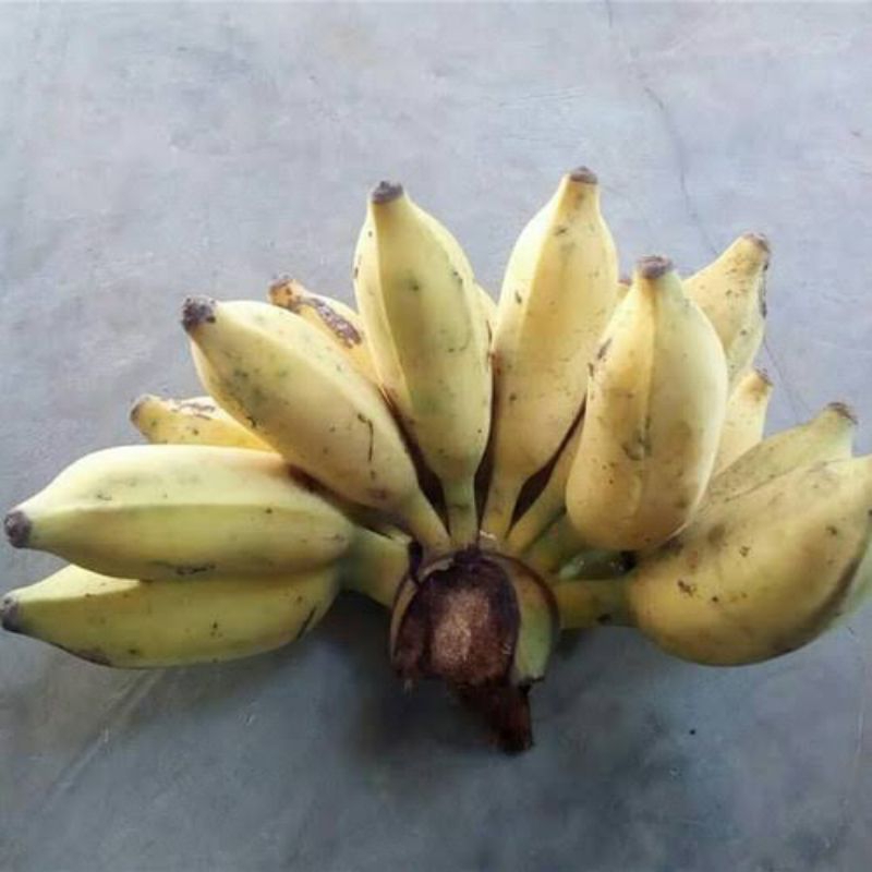 

Pisang siem atau siam per 1kg