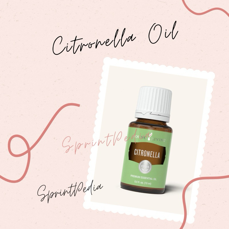 YL Citronella Essential Oil 15mL
