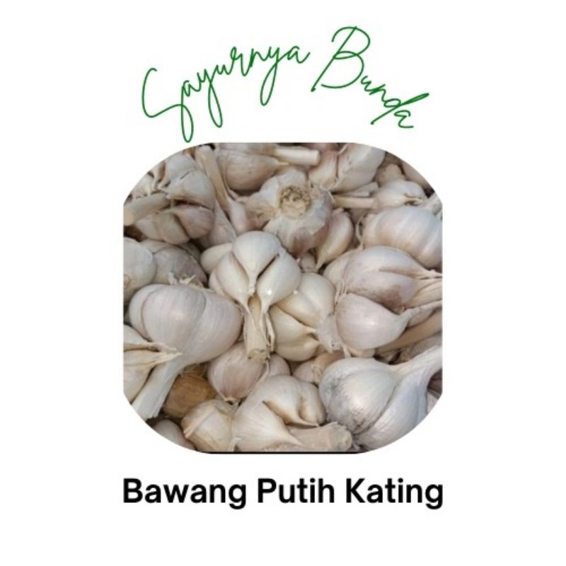 

Bawang Putih per 250gr
