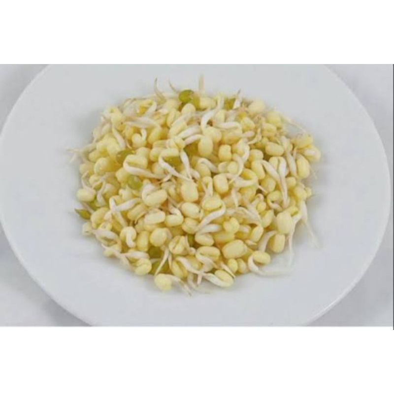 

cambah pendek/cambah rawon