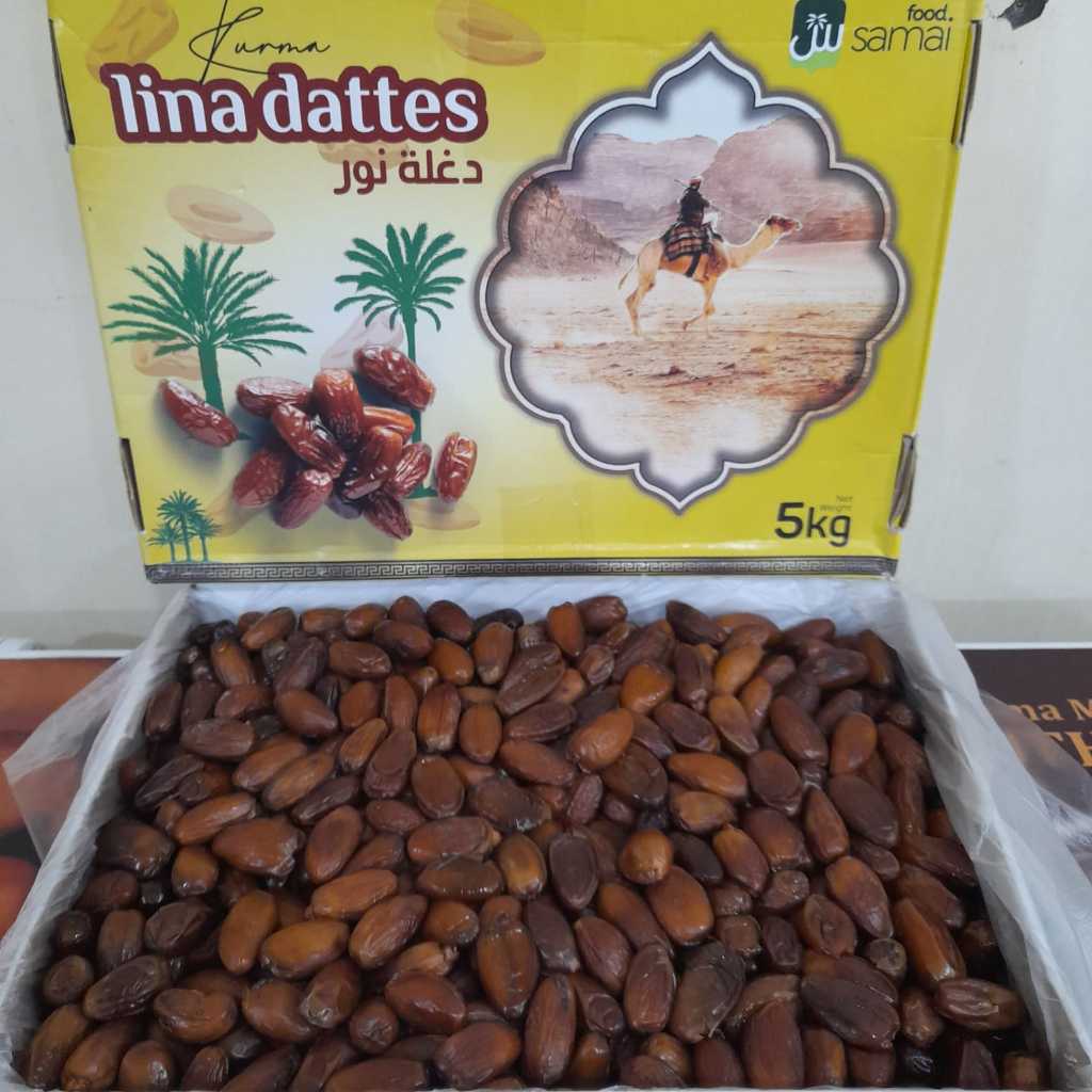 

Kurma Tunisia Madu 5kg Kurma Non Tangkai