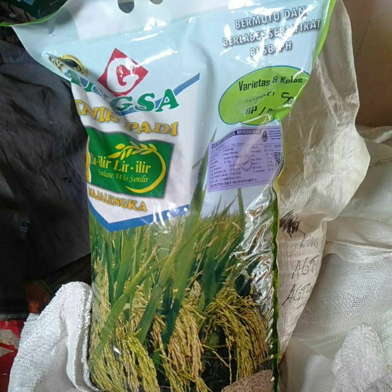 Benih padi Inpari 50 Marem