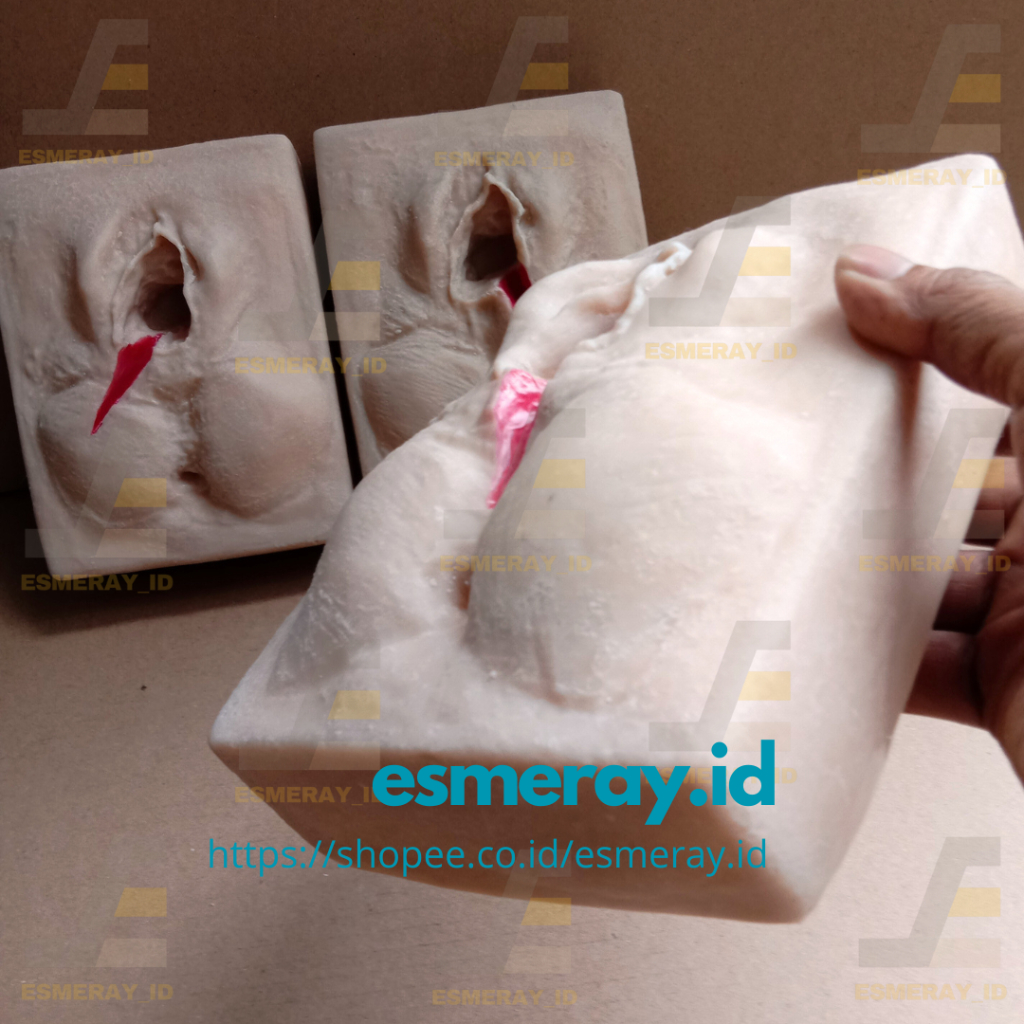 Insisi Episiotomi-Manekin/Manikin Simulator/Alat Peraga Pendidikan Praktek/Edukasi/Pembelajaran