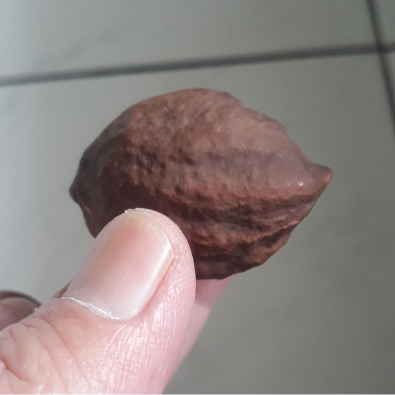 Kemiri Adu Muncang Adu Eti Gogog Ori Full Tua