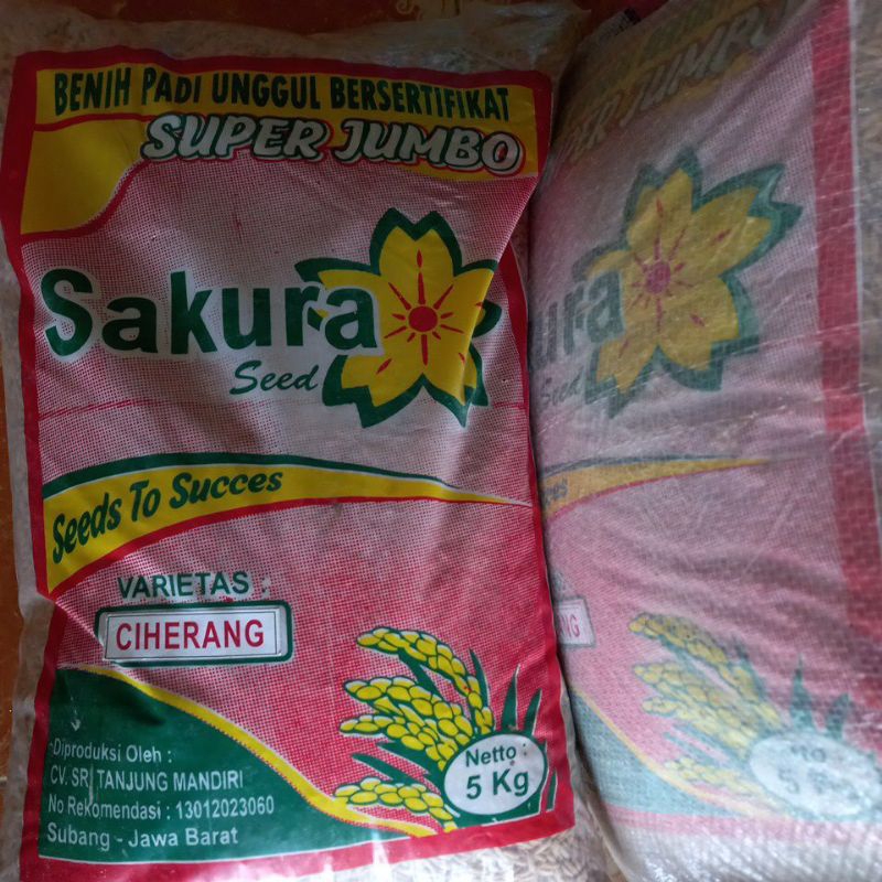 Benih Padi Ciherang Super Jumbo Sakura 1 Kg