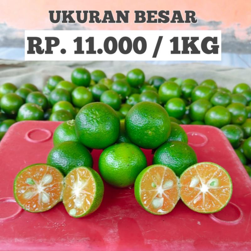 

1KG JERUK SONKIT JERUK KASTURI KASTURI KUNCI (ukuran besar)