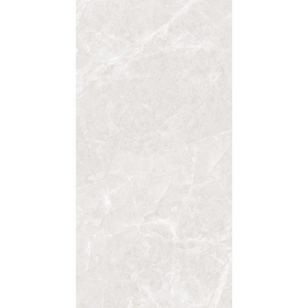 GRANIT GEORGIO DOVE 120X240 - WELLGRESS