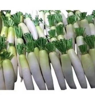 

INSTAN - LOBAK PUTIH 500GRAM