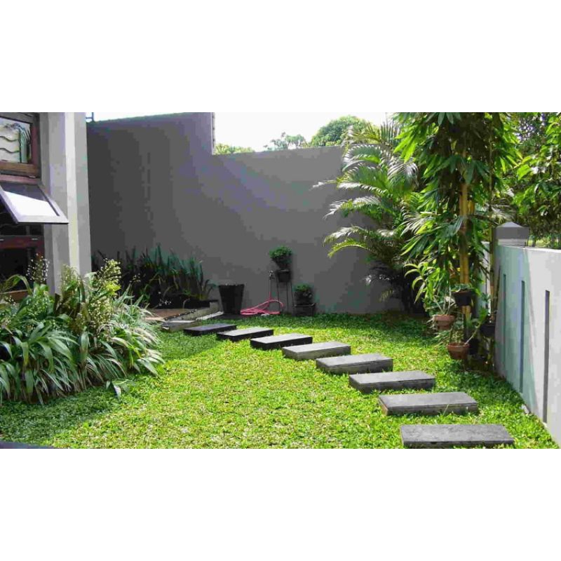 Taman minimalis batu steving